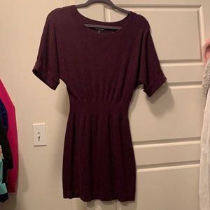 ⭐️Express Purple Shimmer Sweater Dress ⭐️